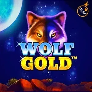 Wolf Gold slot game featuring a glowing-eyed wolf under a starry night sky